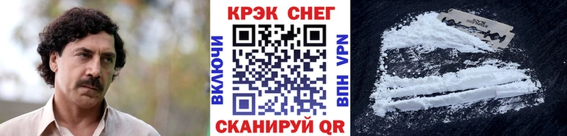 Cocaine Fish Scale  Купить закладки  Кохма 