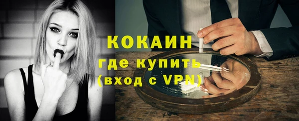 мдпв Новозыбков