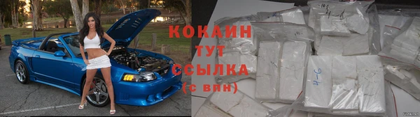 эйфоретик Новодвинск
