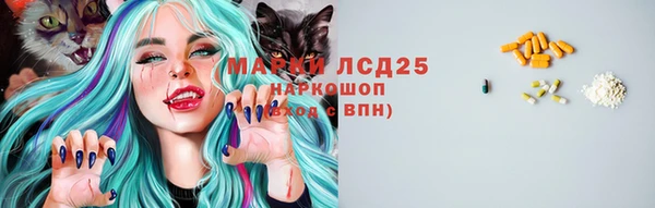 мдпв Новозыбков