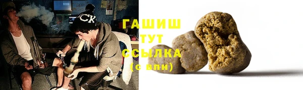 мдпв Новозыбков