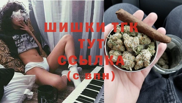 эйфоретик Новодвинск