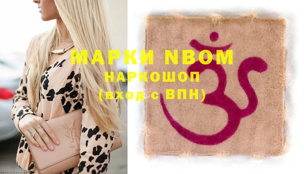 мдпв Новозыбков