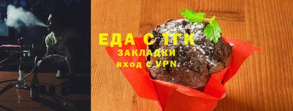 мдпв Новозыбков