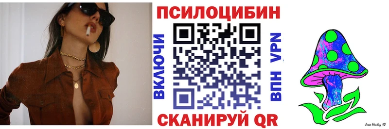 Купить  Кохма  Псилоцибиновые грибы Cubensis 
