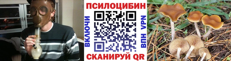 Галлюциногенные грибы Psilocybine cubensis Кохма